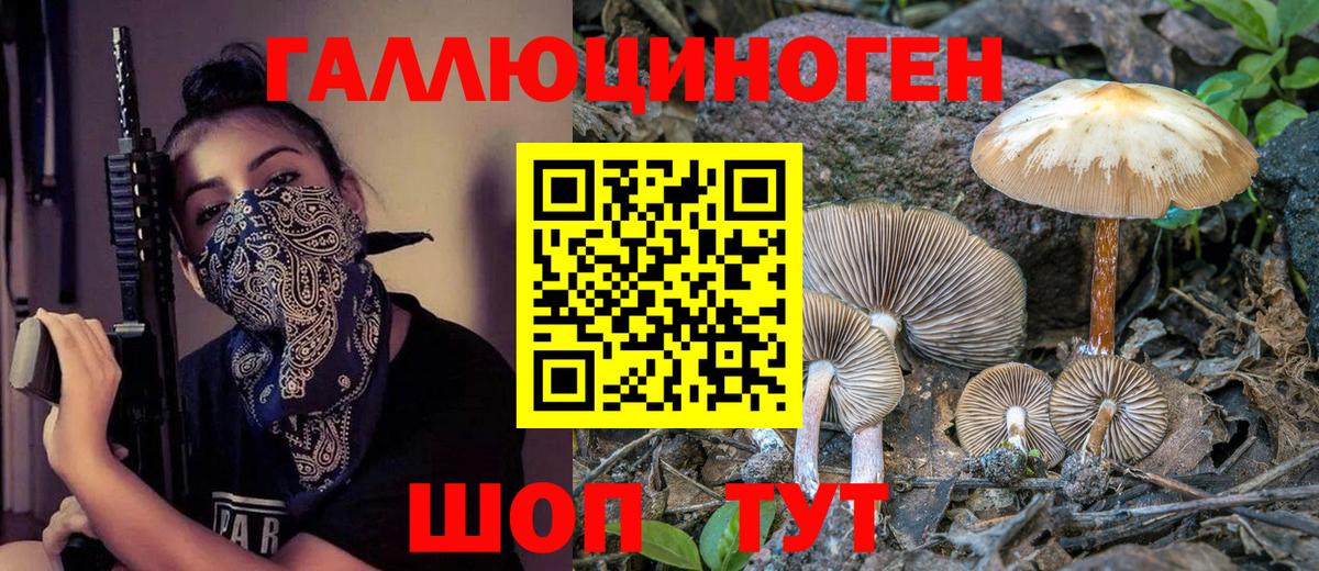 Галлюциногенные грибы GOLDEN TEACHER  магазин  наркотиков  Галлюциногенные грибы прущие грибы  Казань  Вход с VPN 